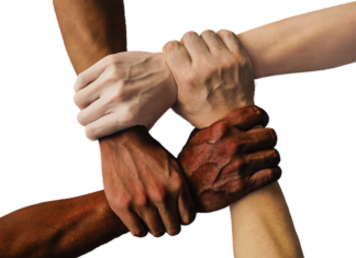 W jakim języku jest napisane Unity? W jakim języku jest napisane Unity?