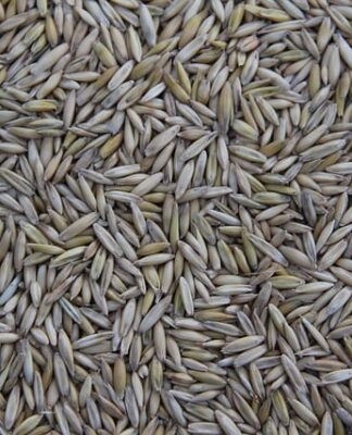 Kto produkuje pieniądze w Polsce?