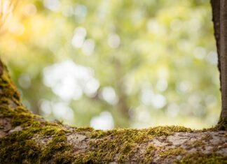 Jaką mam zdolność kredytowa? Jaką mam zdolność kredytowa?