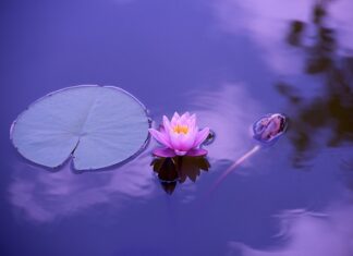 Czy premia wlicza się do stawki godzinowej?