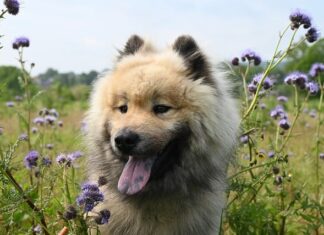 Komu podlegają towarzystwa ubezpieczeniowe?
