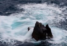 Czy ceny wrócą do normy?